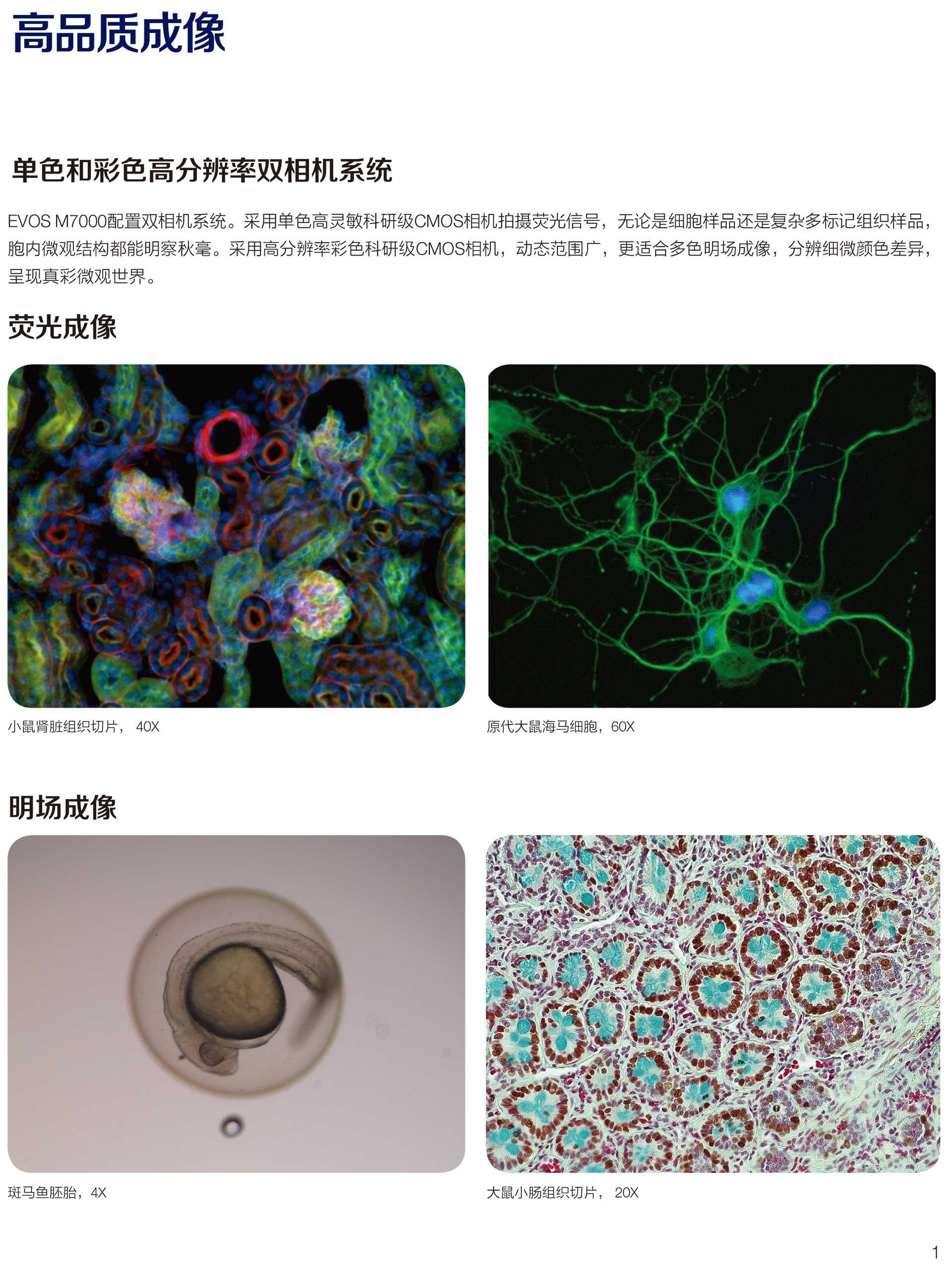 EVOS-M7000-應(yīng)用彩頁-3.jpg